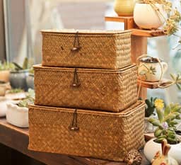 Kelly Storage Basket Set of 5