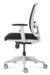 Picture of Luminous Promesh White Frame Chair